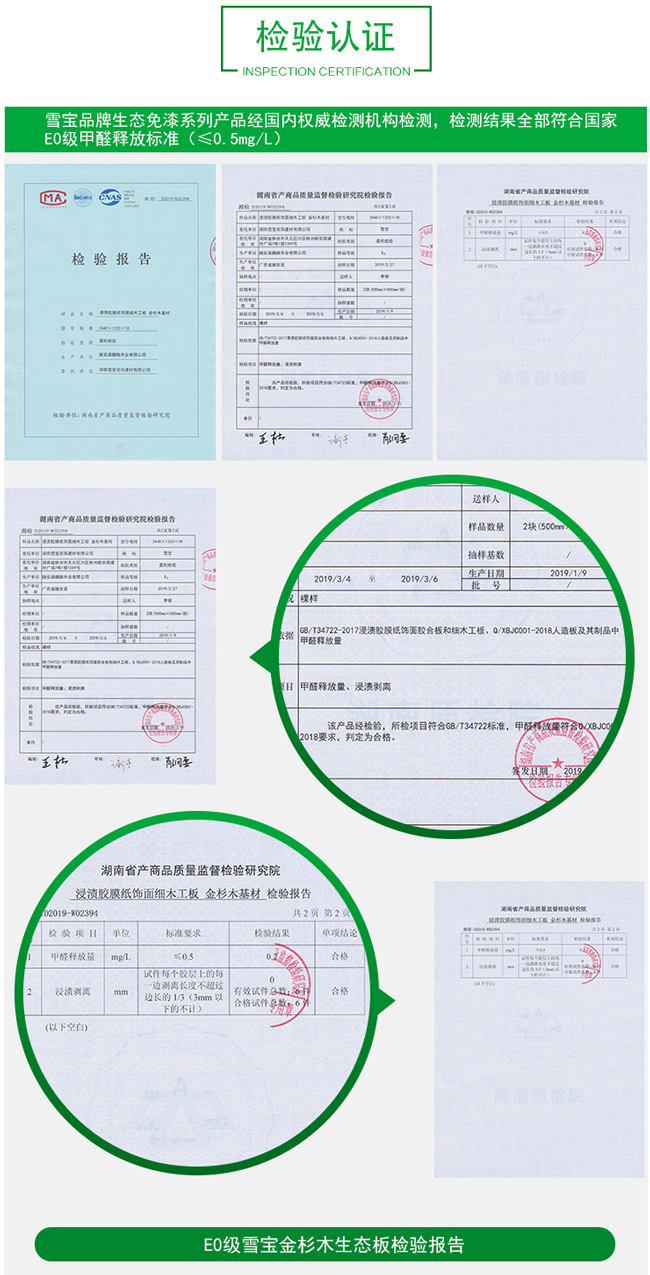 ѩỷ̬鱨