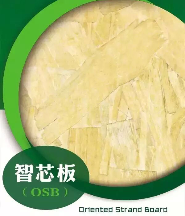 ѩо-ʮƷ-OSB壬ŷɰ