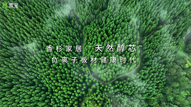 ΪʲôҪʵľ¹
